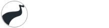 Paraguaçu Investimentos